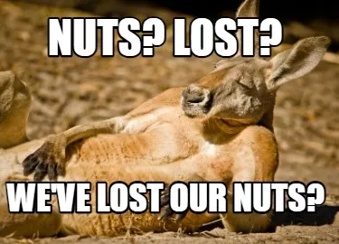 NUTS? LOST? WE'VE LOST OUR NUTS?