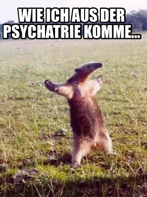 Funny Wie ich aus der psychatrie komme…