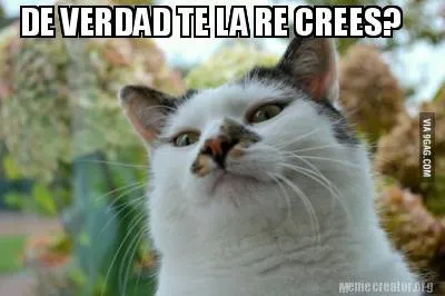 DE VERDAD TE LA RE CREES?