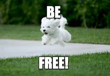 Funny Be free!