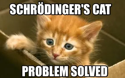 Schrödinger's cat Problem solved
