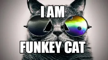 Funny I am Funkey cat