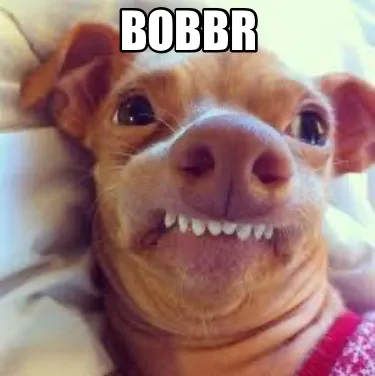 Funny bobbr