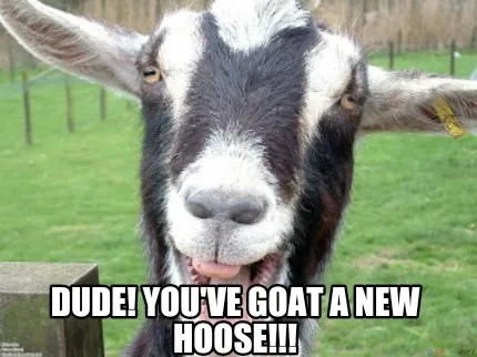Funny Dude! You've goat a new hoose!!!