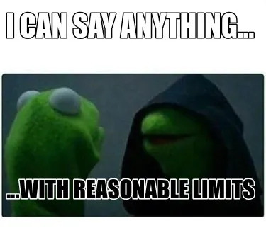 Funny I can Say Anything... ...with REASONABLE LIMITS