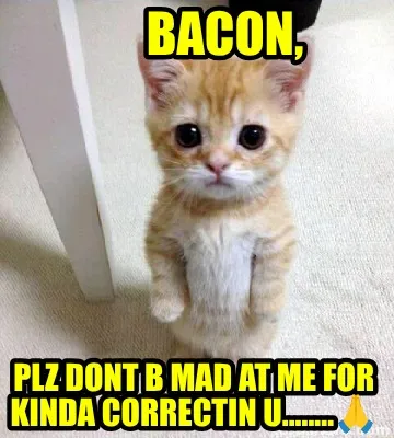 Funny Bacon, Plz Dont B Mad at Me For Kinda Correctin U........????