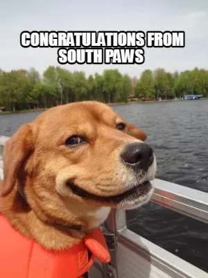 Funny Congratulations from South Paws