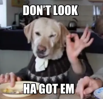 Don’t look Ha Got em