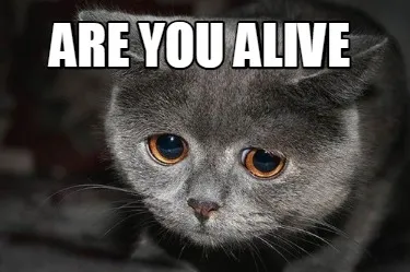 Funny Are you alive