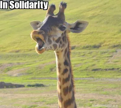 In Solidarity