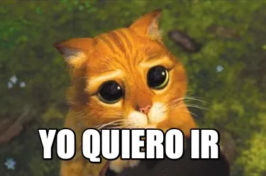 Funny Yo quiero ir