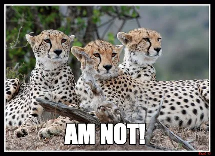 Am not!