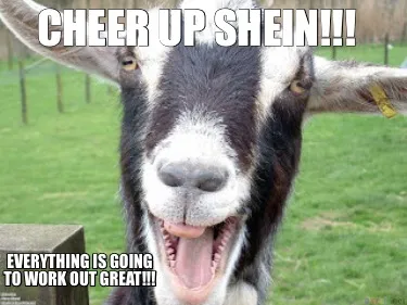Funny Cheer up Shein!!! Everything is going to work out great!!!