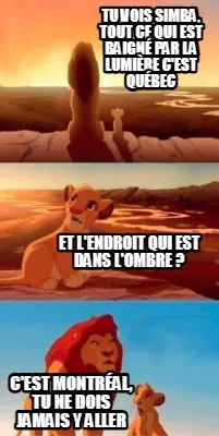 Funny Tu vois Simba, tout ce qui est baigné par la lumière c'est Québec Et l'endroi