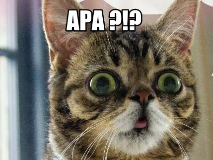 Apa ?!?