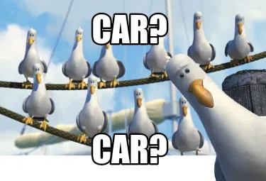 Car? Car?