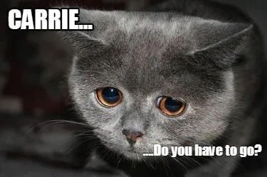 Carrie... ....Do you have to go?