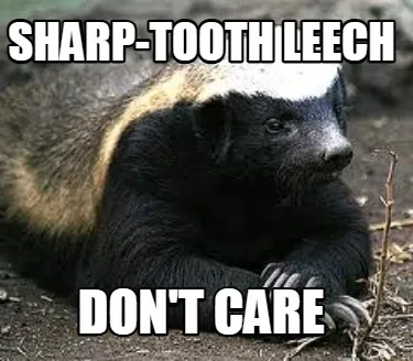SHARP-TOOTH LEECH DON'T CARE