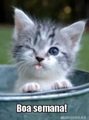 Funny Boa semana!