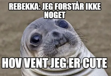 Funny Rebekka: jeg forstår ikke noget hov vent jeg er cute