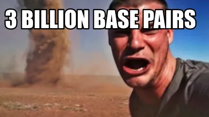Funny 3 billion base pairs