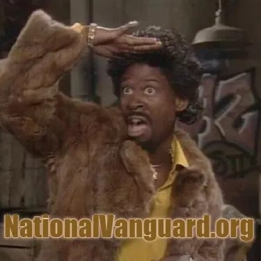 NationalVanguard.org