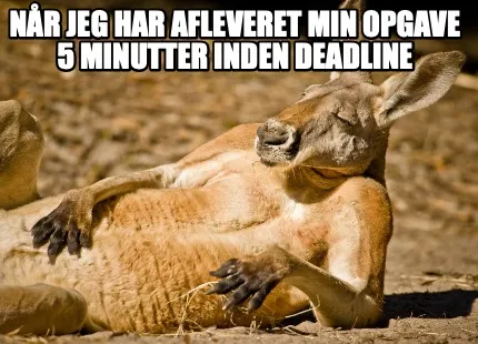 Når jeg har afleveret min opgave 5 minutter inden deadline