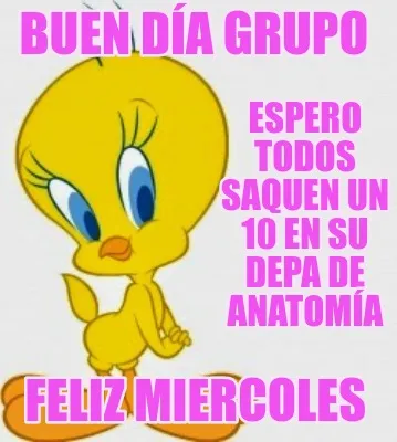 Buen día grupo Feliz miercoles Espero todos saquen un 10 en su depa de anatom�