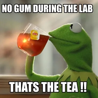 Funny No gum during the lab Thats the tea !!