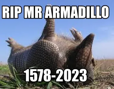 Funny rip mr armadillo 1578-2023