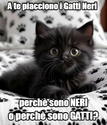 A te piacciono i Gatti Neri perchè sono NERI o perchè sono GATTI?