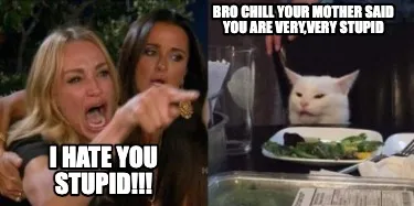 BRO CHILL YOUR MOTHER SAID YOU ARE VERY,VERY STUPID I HATE YOU STUPID!!!