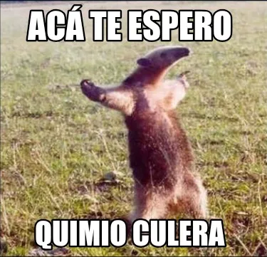 Funny Acá te espero Quimio culera
