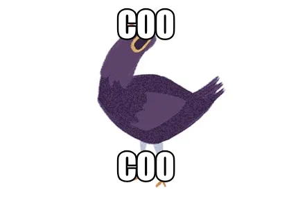 Funny Coo coo