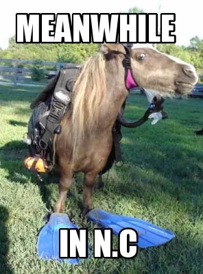 Funny Meanwhile In N.C