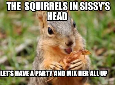Funny The squirrels in sissy’s head Let’s have a party and mix her all up