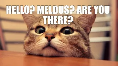 Hello? Meldus? Are you there?