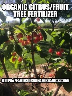 Organic citrus/fruit tree fertilizer https://earthsoriginalorganics.com/