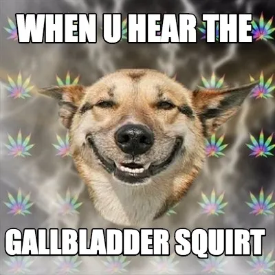 When u hear the gallbladder squirt