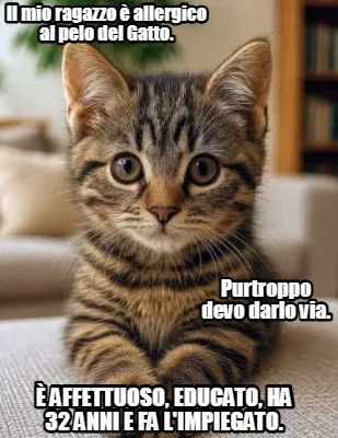 Funny Il mio ragazzo è allergico al pelo del Gatto. Purtroppo devo darlo via. è affe
