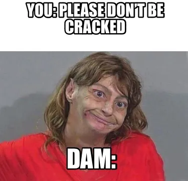 Funny You: please don’t be cracked Dam: