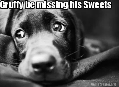 Funny Gruffy be missing his Sweets