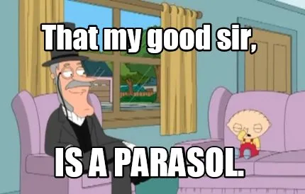Funny That my good sir, Is a parasol.