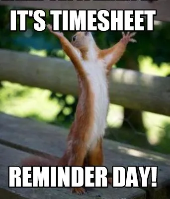 IT'S TIMESHEET REMINDER DAY!