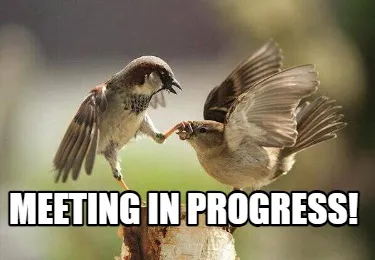 Funny Meeting in progress!