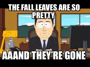 Funny The fall leaves are so pretty Aaand they’re gone