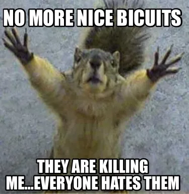 No More Nice Bicuits They are killing me…Everyone hates them