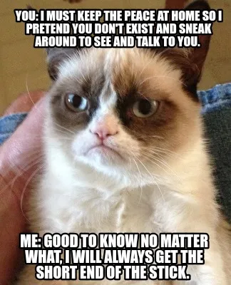 Funny You: I must keep the peace at home so I pretend you don't exist and sneak around