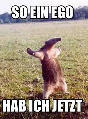 Funny So ein ego hab ich jetzt