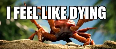 Funny i feel like dying